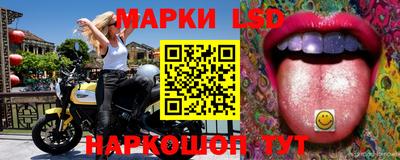 хмурый Гатчина