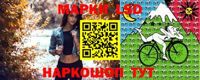 гашик Гагарин