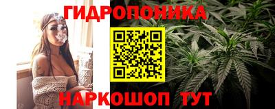 гашик Гагарин