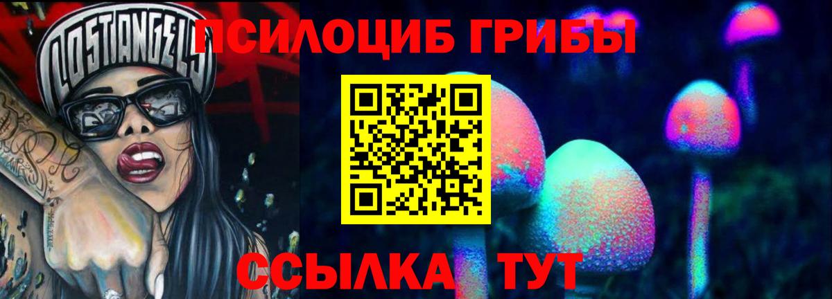 Сибай  Галлюциногенные грибы Psilocybine cubensis  Вход с VPN 
